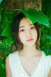御兽从零分开始顶点