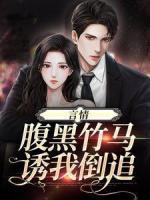 闪光吧冰球少年