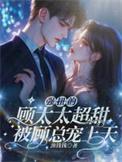 女护卫全文免费阅读卿隐