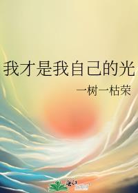 迷踪谍影完整版免费版