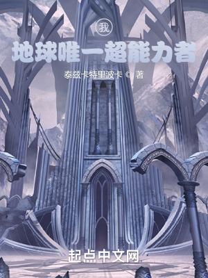 明末钢铁大亨笔趣趣